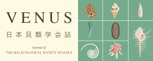 バナー：Venus
